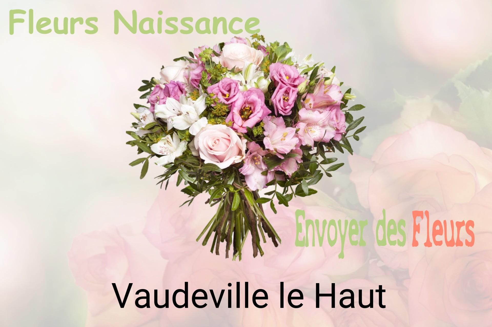 Bouquet de fleurs de naissance livré à Vaudeville-le-Haut