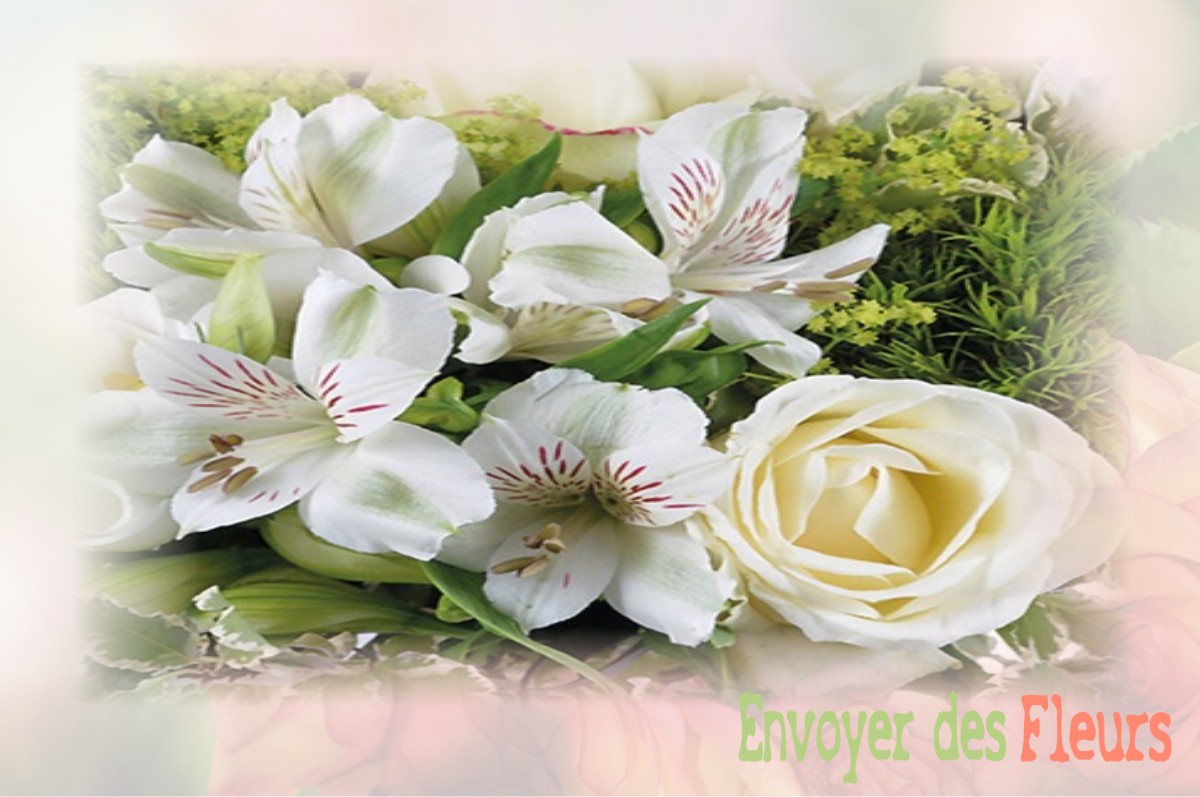 envoyer des fleurs à à VAUDEVILLE-LE-HAUT