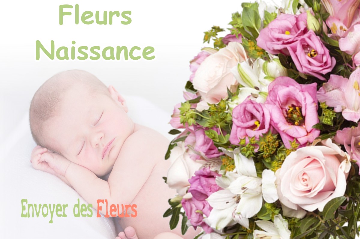 lIVRAISON FLEURS NAISSANCE à VAUDEVILLE-LE-HAUT