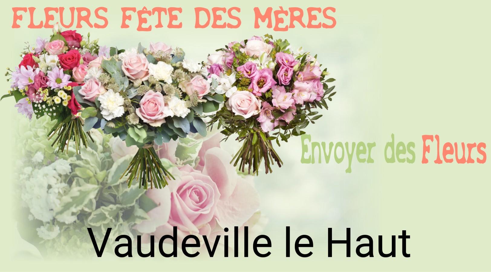 Bouquet de Fête des Mères livré à Vaudeville-le-Haut